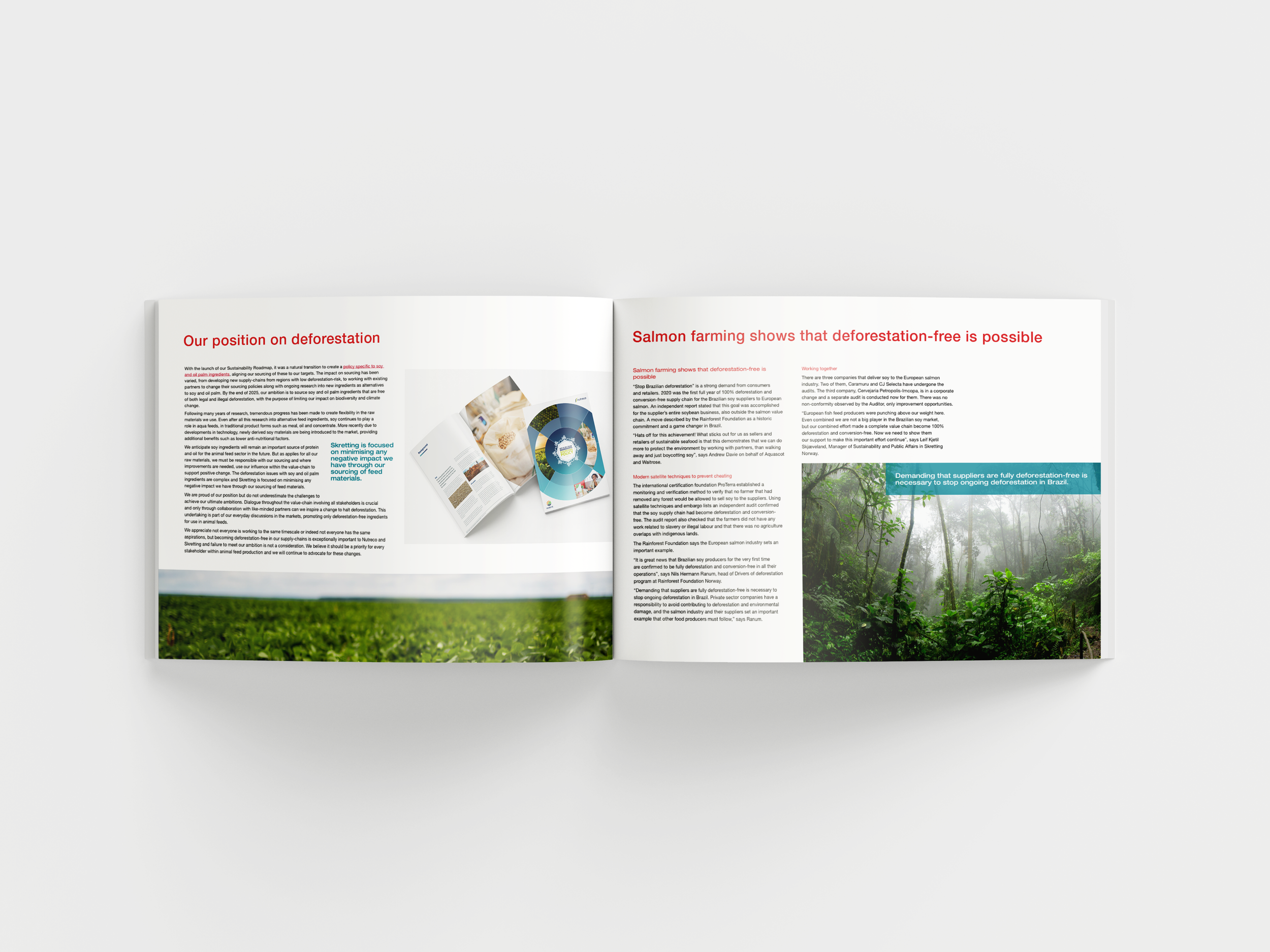 Sustainability report 2021