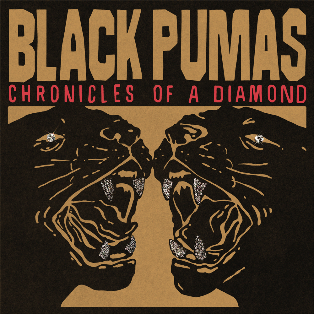 Black Pumas Official
