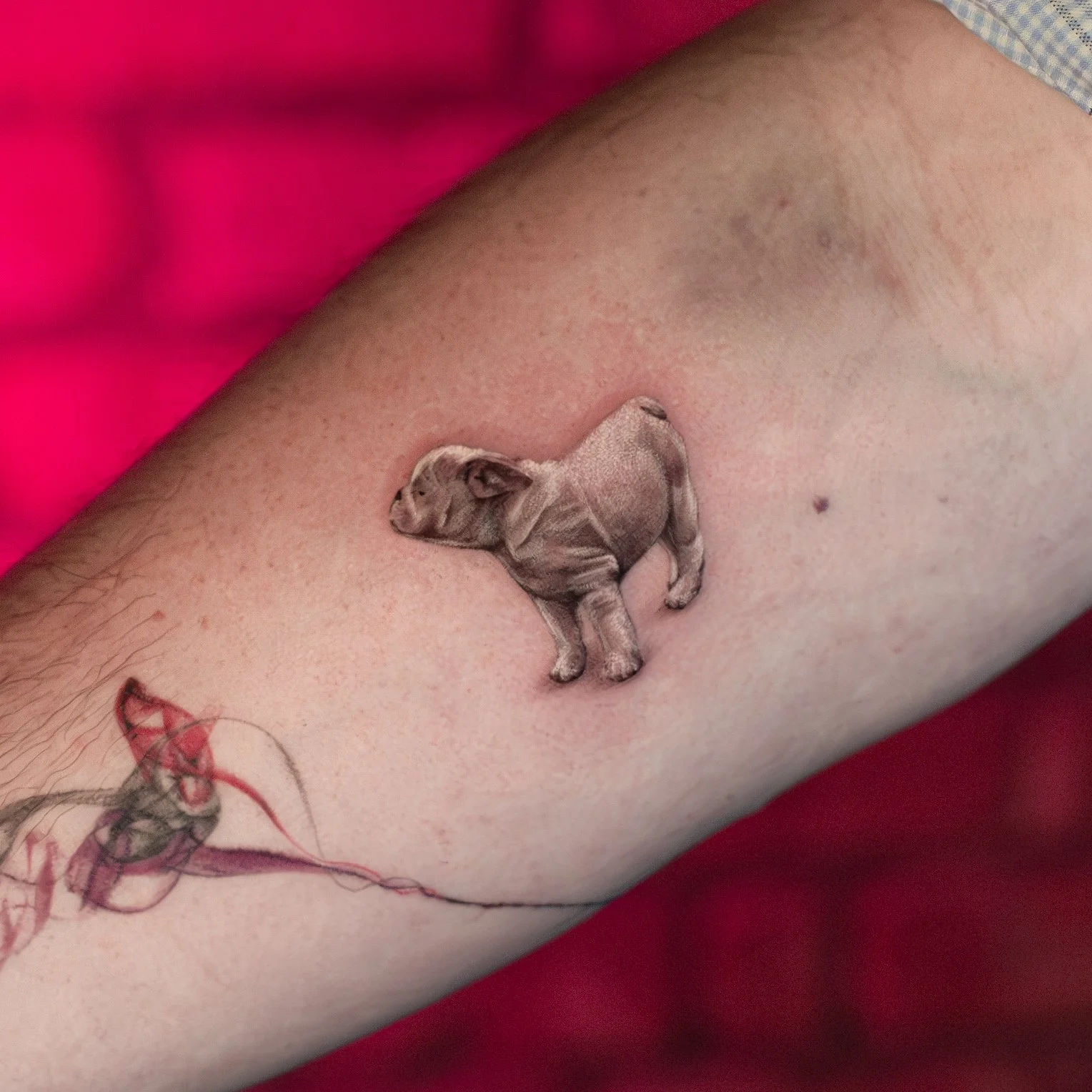 IMGL2176-Enhanced-NR copy2.jpg