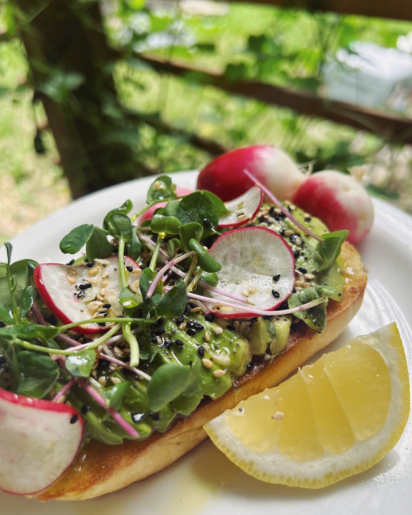 🍃 🥑 avocado toast with the most 🥑 🍃 

🥖 Thick-sliced local bread, radishes and micro greens from @villinesfarm, drizzled with EVOO and sprinkled with house everything bagel seasoning. 

🍋 We are thrilled to introduce our first menu item featuri