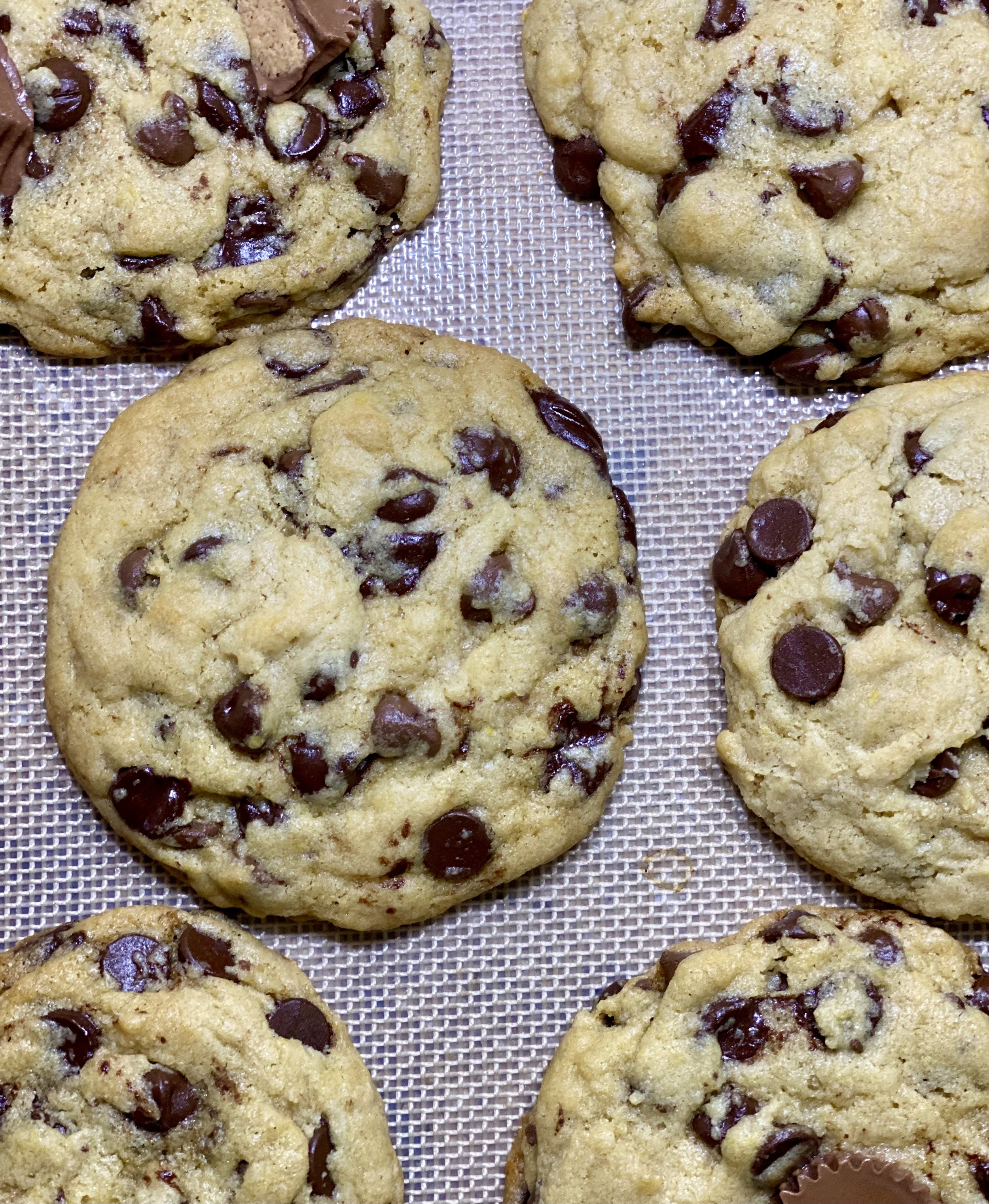 The Perfect Chocolate Chip Cookie