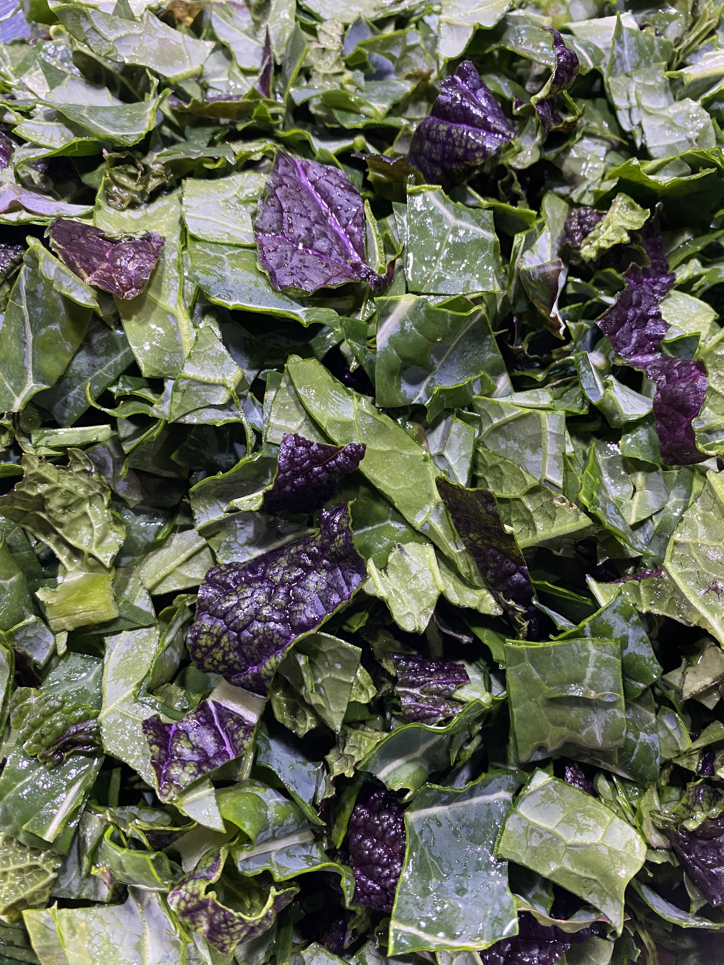 turnip-greens.jpg