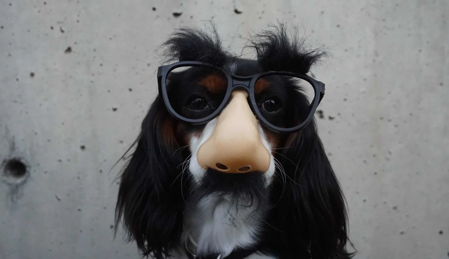 The Persistence Of Imposter Syndrome