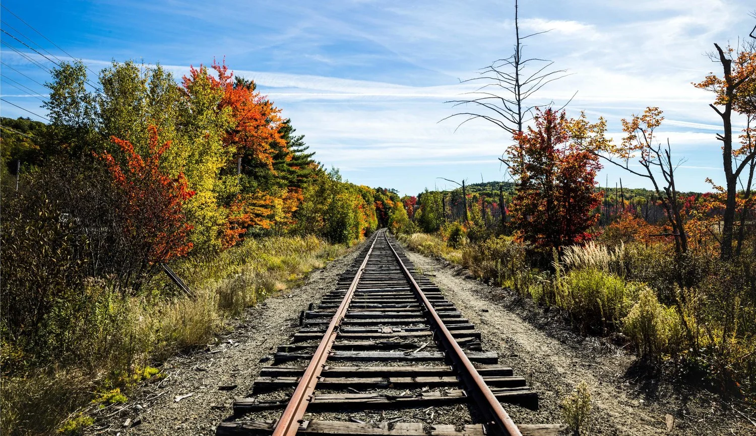 So You've Been Laid Off, What Now?