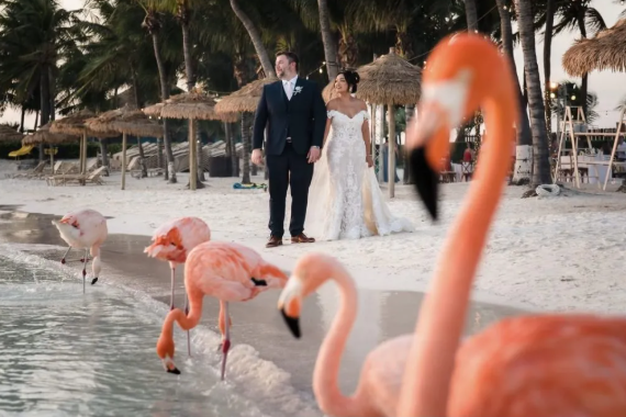 Aruba Elegant Aruba destination wedding with crystal-clear waters, soft white sand, and intimate island romance