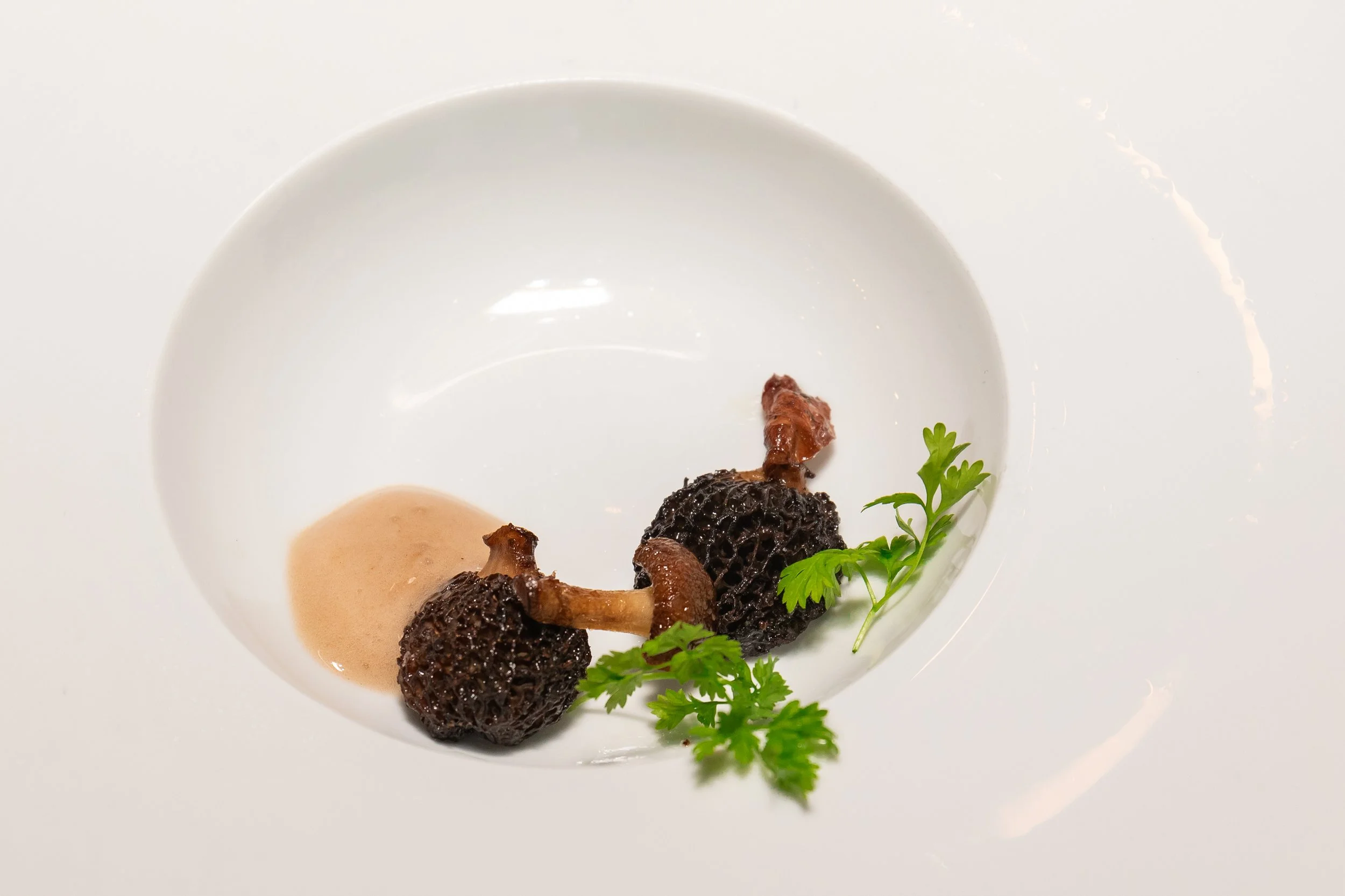 SWFL Food and Wine Fest Secret Vine Affair-174.jpg