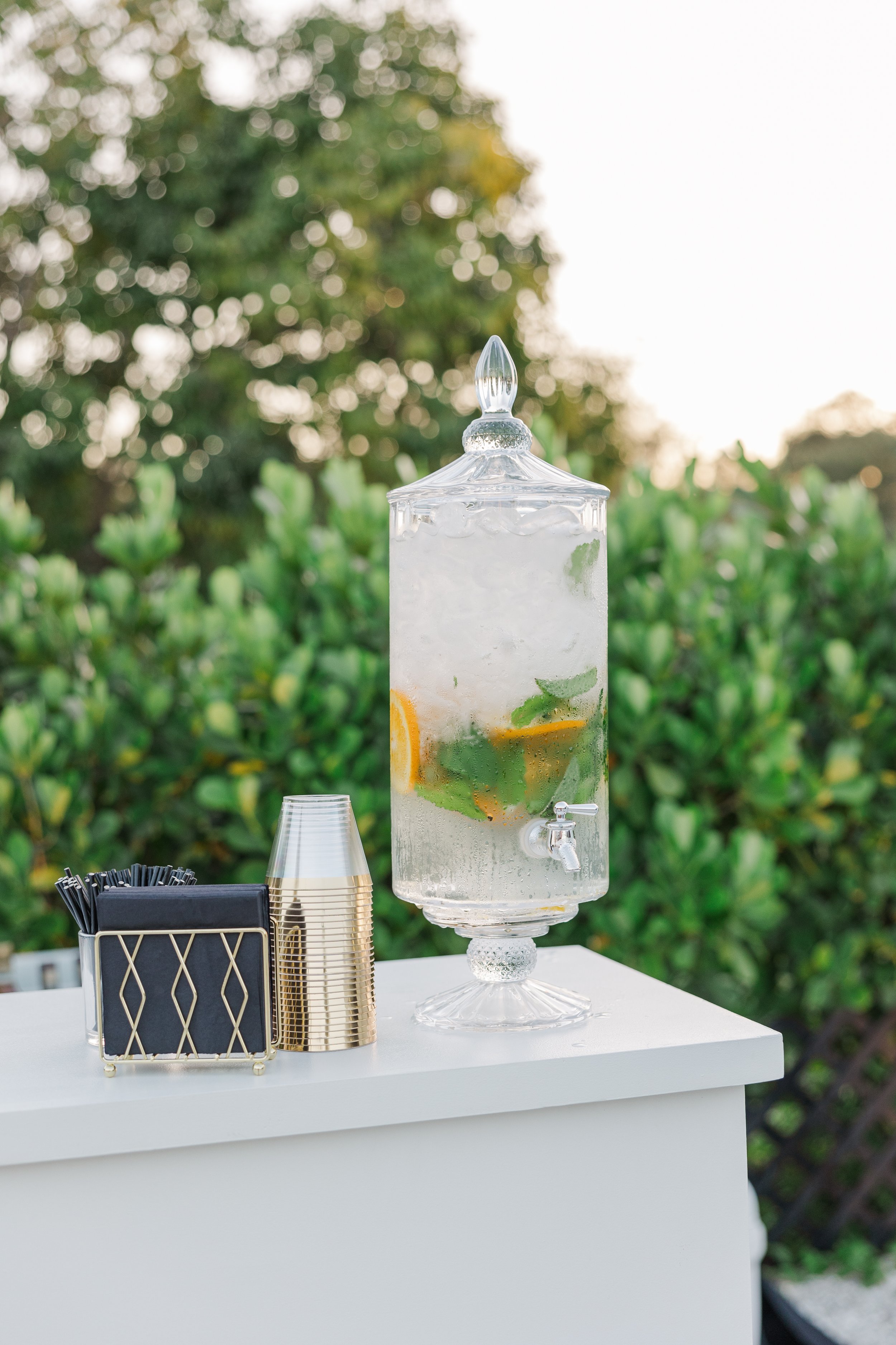 PHOTOGRAPHY BY: DEANNA GRACE