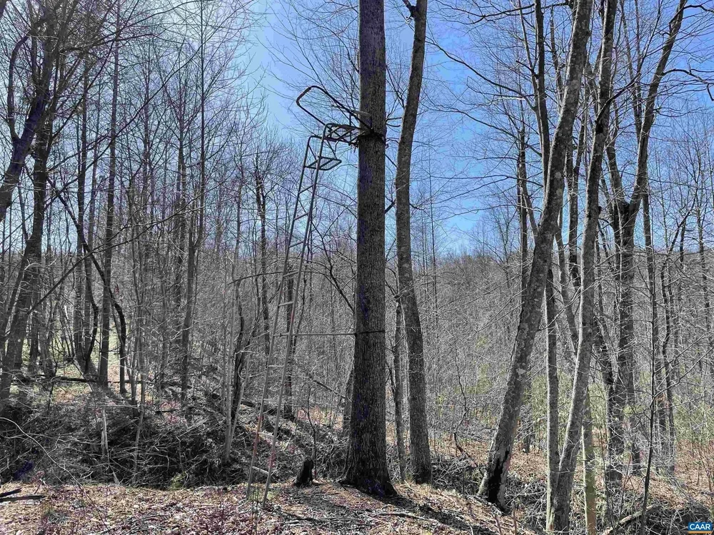 Store 1 — Dirt Cheap Land