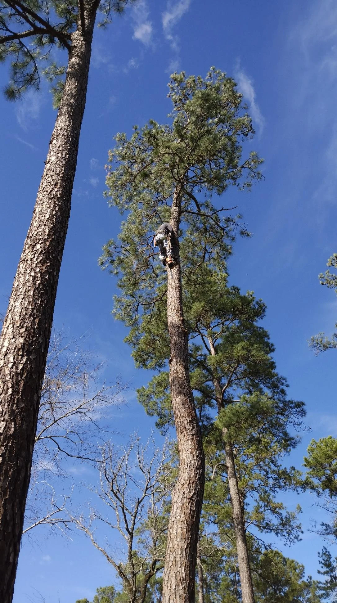 Oranssi previous project