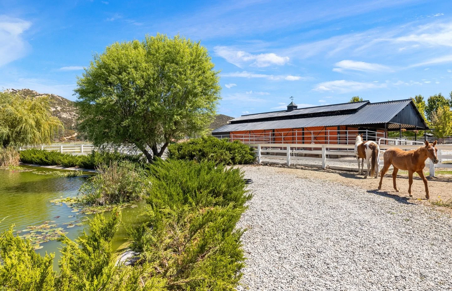 🐴 What Equestrians Really Look For When Buying a Ranch 🌲

It&rsquo;s rarely just about the house&hellip;.

When equestrians shop for a ranch, they&rsquo;re looking at the land through a very different lens. Here&rsquo;s what truly matters:

✔️ Usab