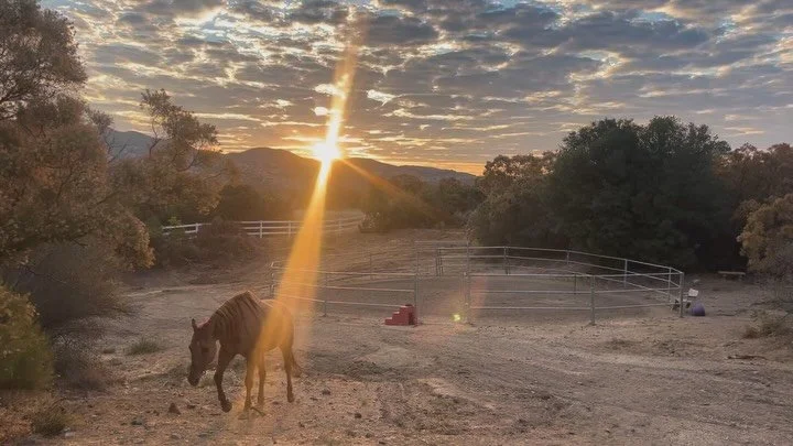 There&rsquo;s just something about living in the mountains with horses that&rsquo;s hard to explain.

The quiet mornings. Cooler air, open land, and a pace that finally makes sense.

Life in Mountain Center isn&rsquo;t just about where you live. It&r