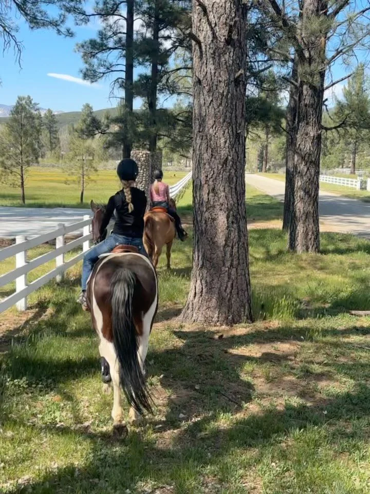 From riding in Garner Valley during the day to dinner on El Paseo at night&hellip; this is what living between the mountains and desert really looks like. 🐎🌴✨

I live and work in both, so whether you&rsquo;re dreaming of wide open space, riding und