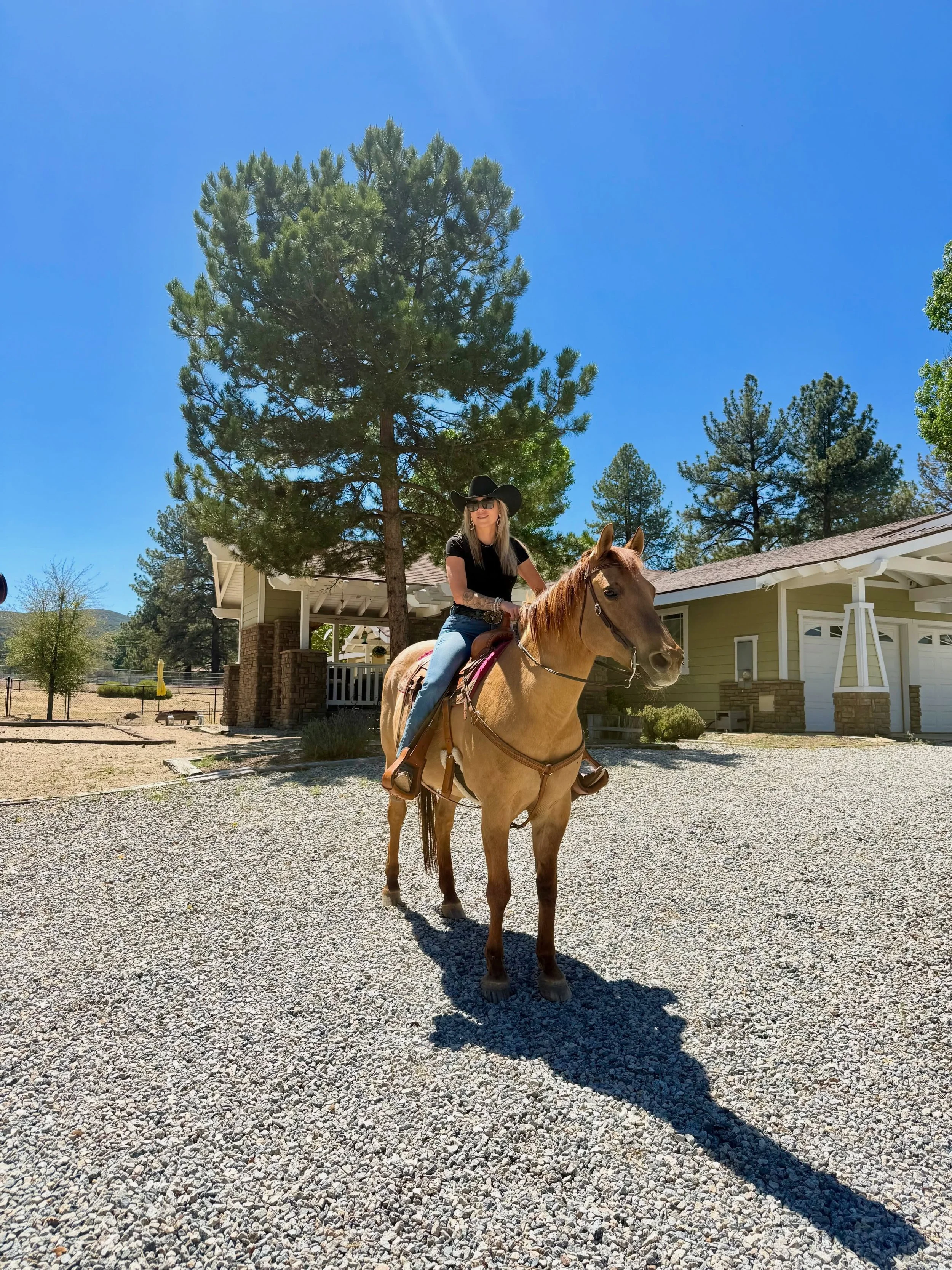Behind the scenes from today&rsquo;s shoot&hellip; and yes, before anyone asks, no ponies were harmed in the making of this video. 😂🐴

Although I&rsquo;m pretty sure the mini horse is now requesting a raise after carrying the production team emotio
