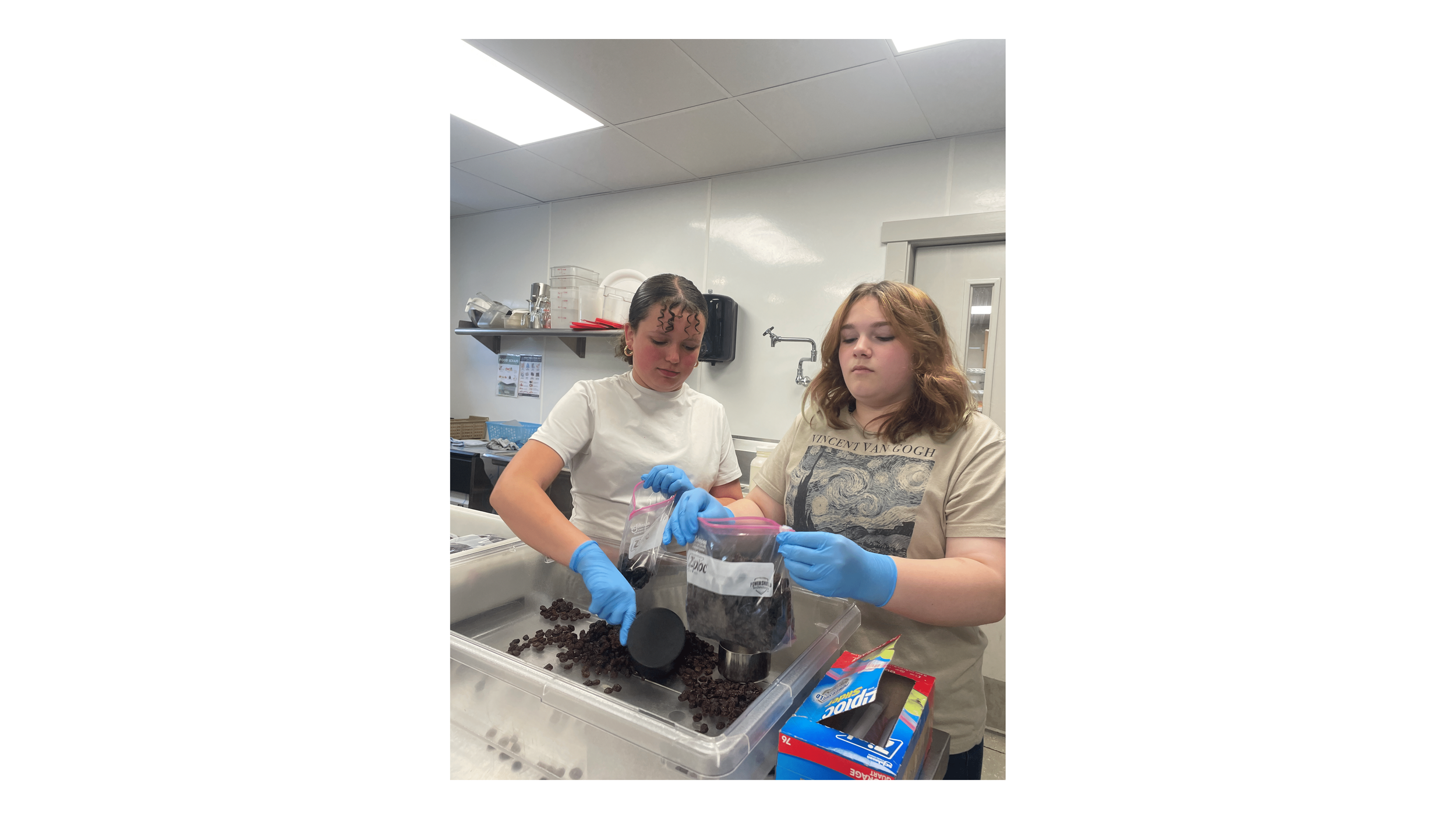 Capstone Presentation - PDF-10.png