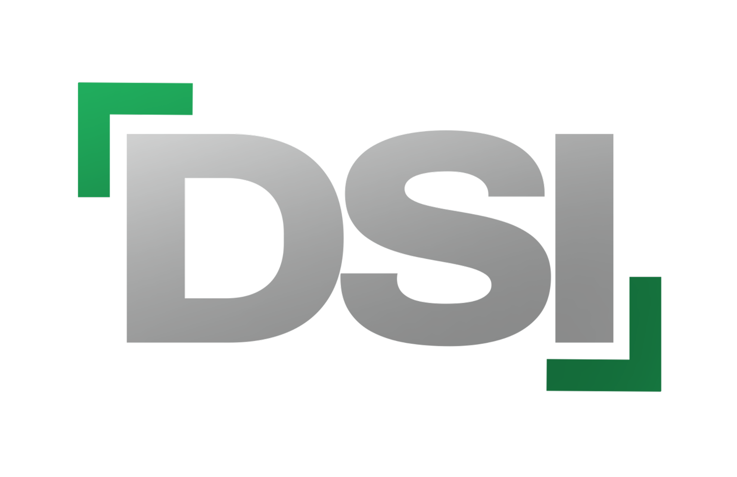 DSI Marketing Services