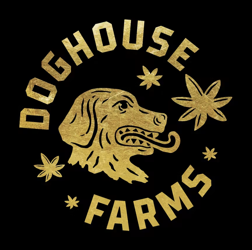 DogHouse Takes Over DGT This Friday