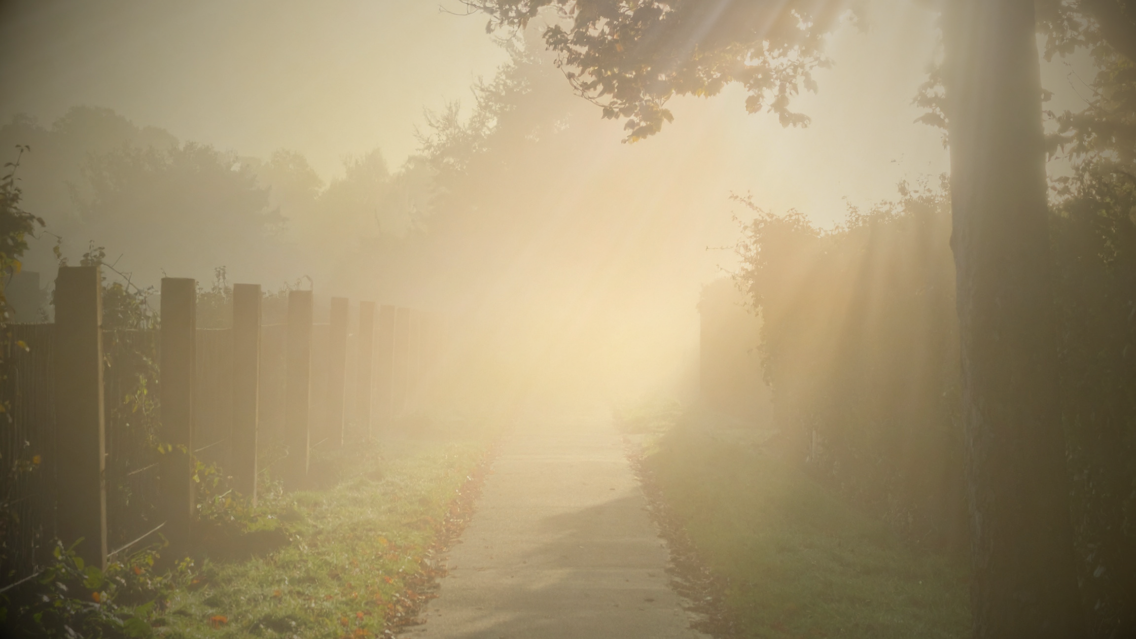 The Practice That Got You Here May Not Be the Practice You Want Next