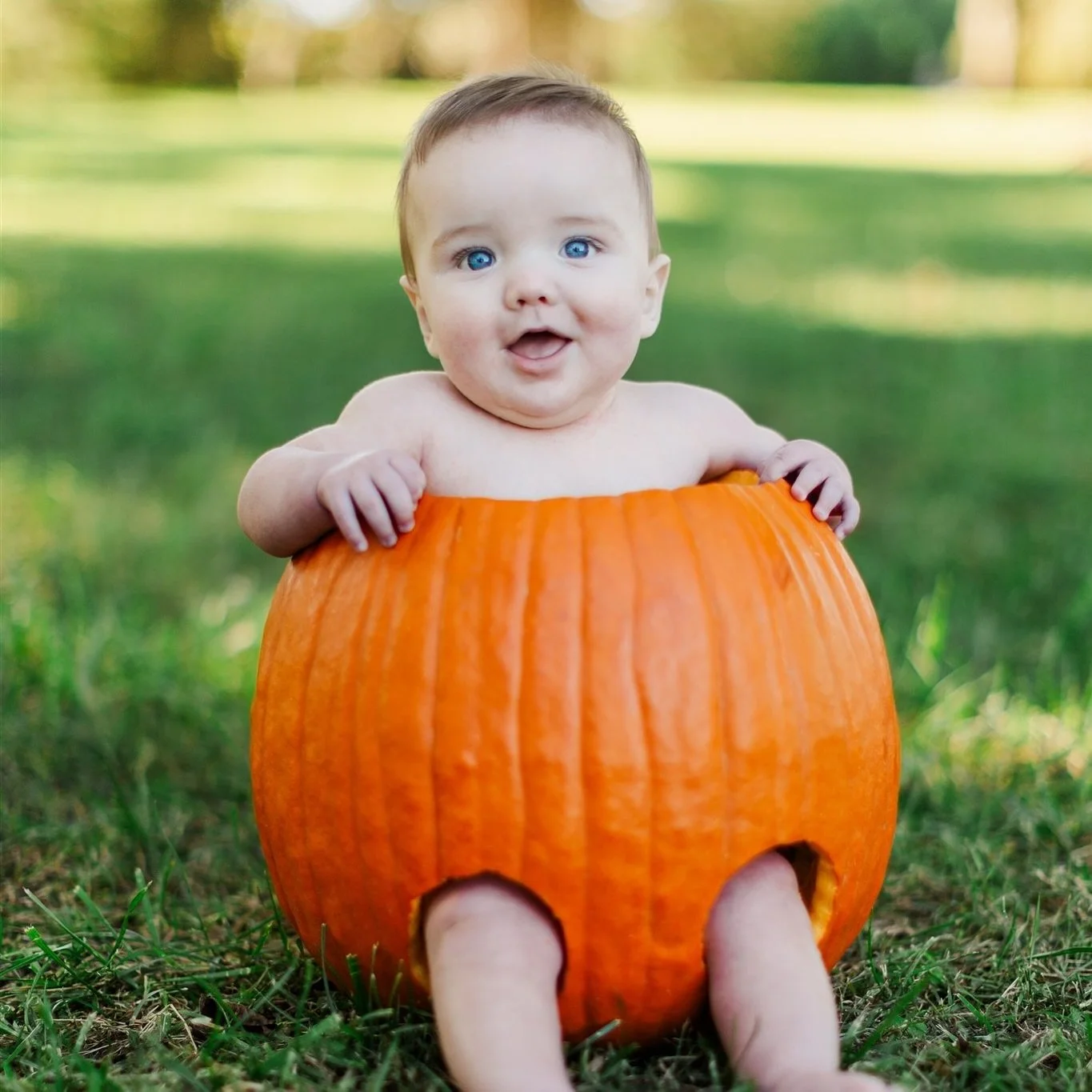 Happy Halloween from Reed Photography!!

We hope your Halloween if full of pumpkins, candy, and fun costumes! 🎃

#halloween #baby #pumpkin #pumpkincarving #photography #photographer #babyphotography #babyphotos #babyphotoshoot #photoshoot #cute #bab
