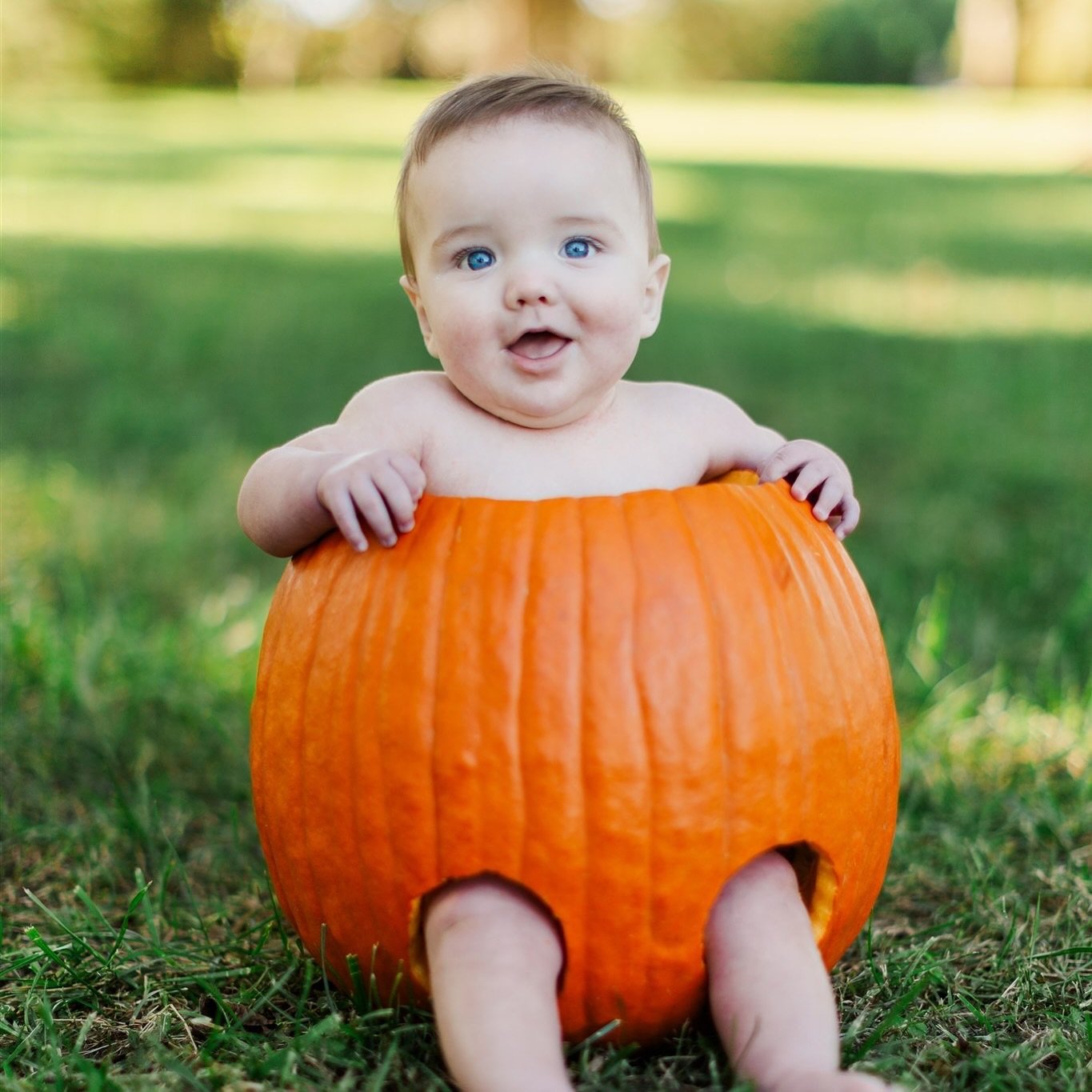 Happy Halloween from Reed Photography!!

We hope your Halloween if full of pumpkins, candy, and fun costumes! 🎃

#halloween #baby #pumpkin #pumpkincarving #photography #photographer #babyphotography #babyphotos #babyphotoshoot #photoshoot #cute #bab