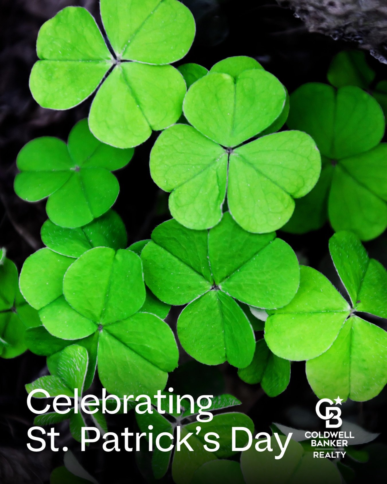 Not all treasures are gold&hellip; some come with a front door and a great address 🏡

Happy St. Patrick&rsquo;s Day 🍀

👤Edison Andrade | RES.0789764
🏡Coldwell Banker Realty-Stamford
📱(203) 505-7868
📍60 Long Ridge Rd, Suite 307
Stamford, CT 0690