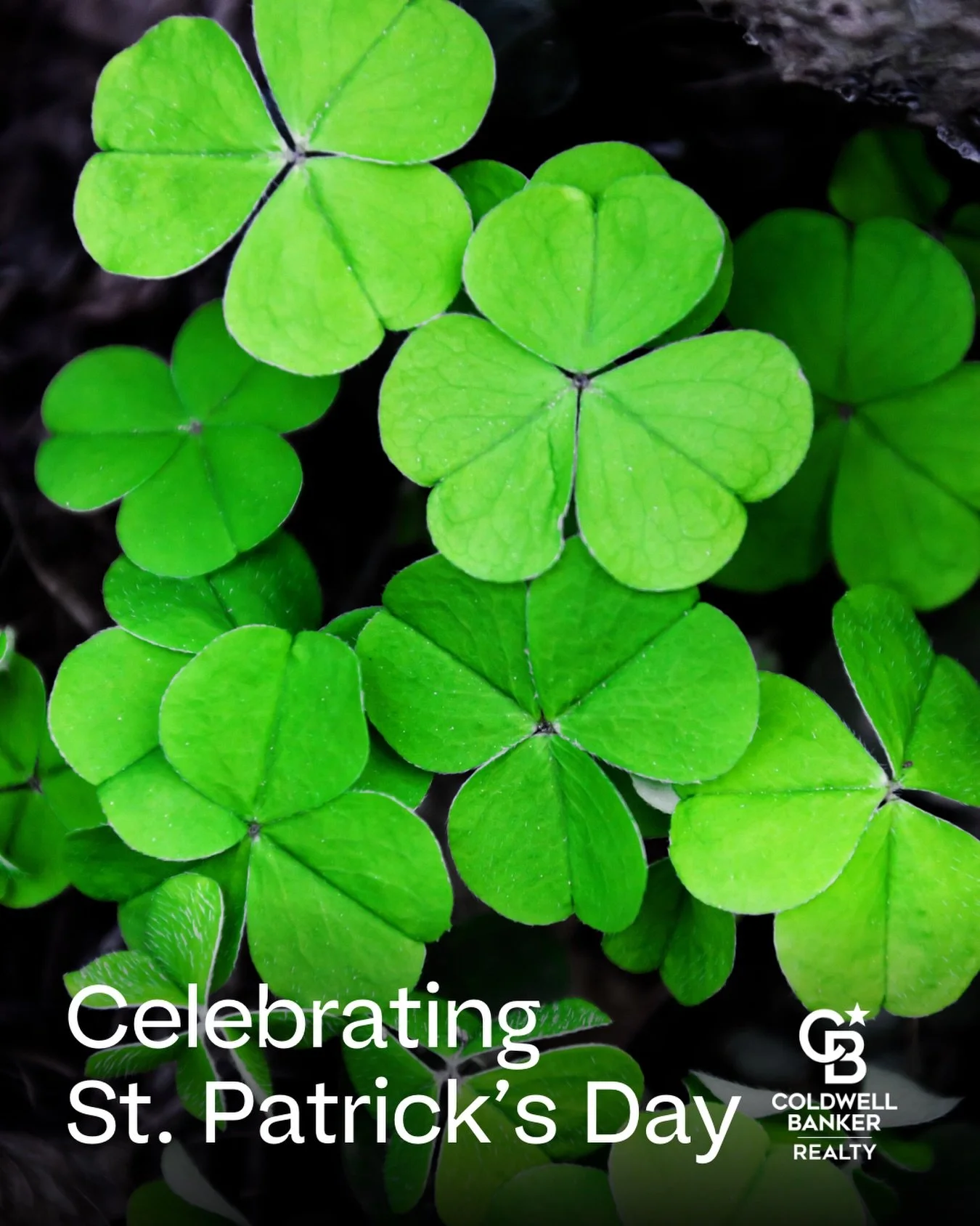 Not all treasures are gold&hellip; some come with a front door and a great address 🏡

Happy St. Patrick&rsquo;s Day 🍀

👤Edison Andrade | RES.0789764
🏡Coldwell Banker Realty-Stamford
📱(203) 505-7868
📍60 Long Ridge Rd, Suite 307
Stamford, CT 0690