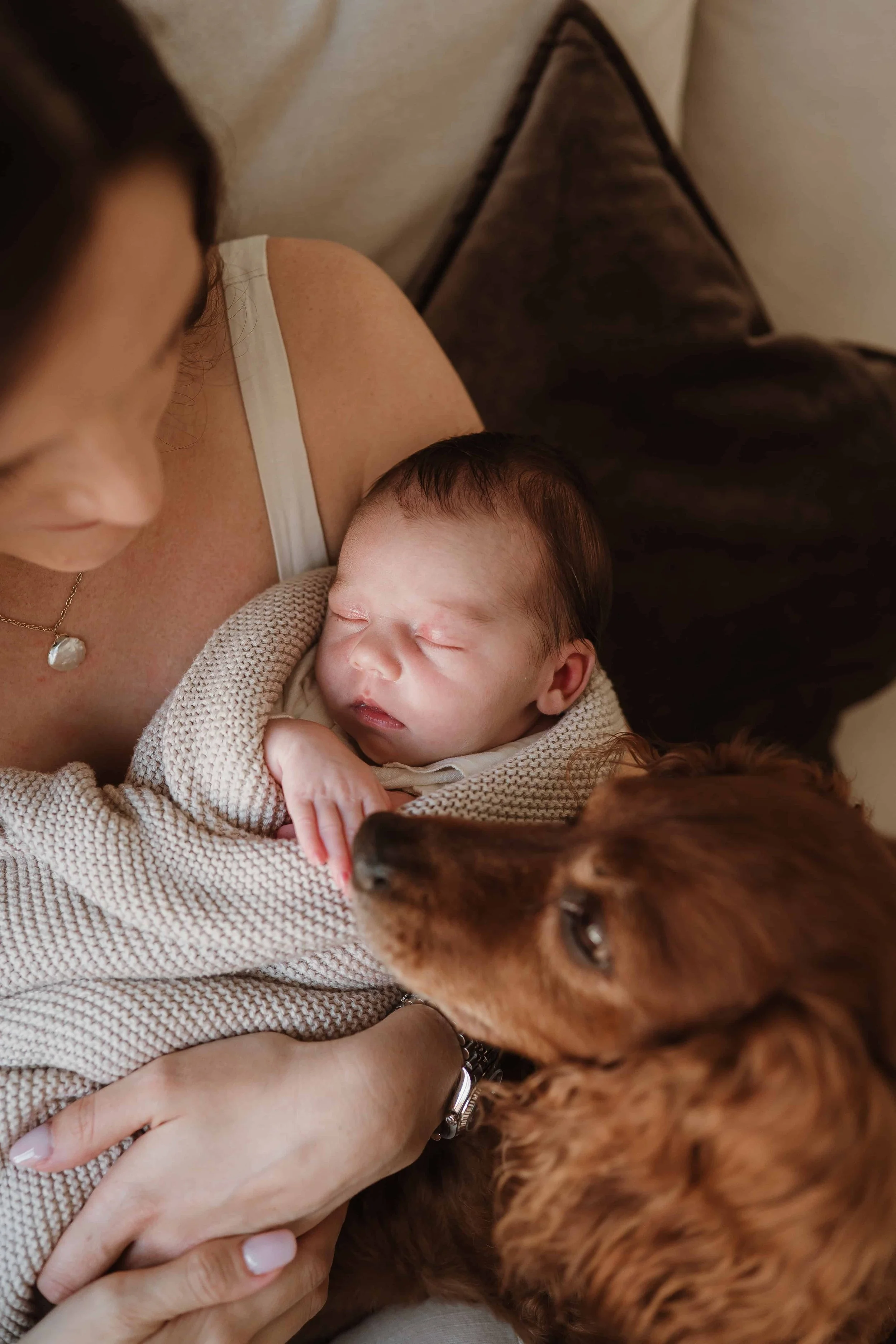 baby-photoshoot-cheltenham.JPG