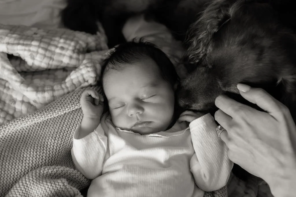 Swindon-newborn-photographer-thomas-100.jpg
