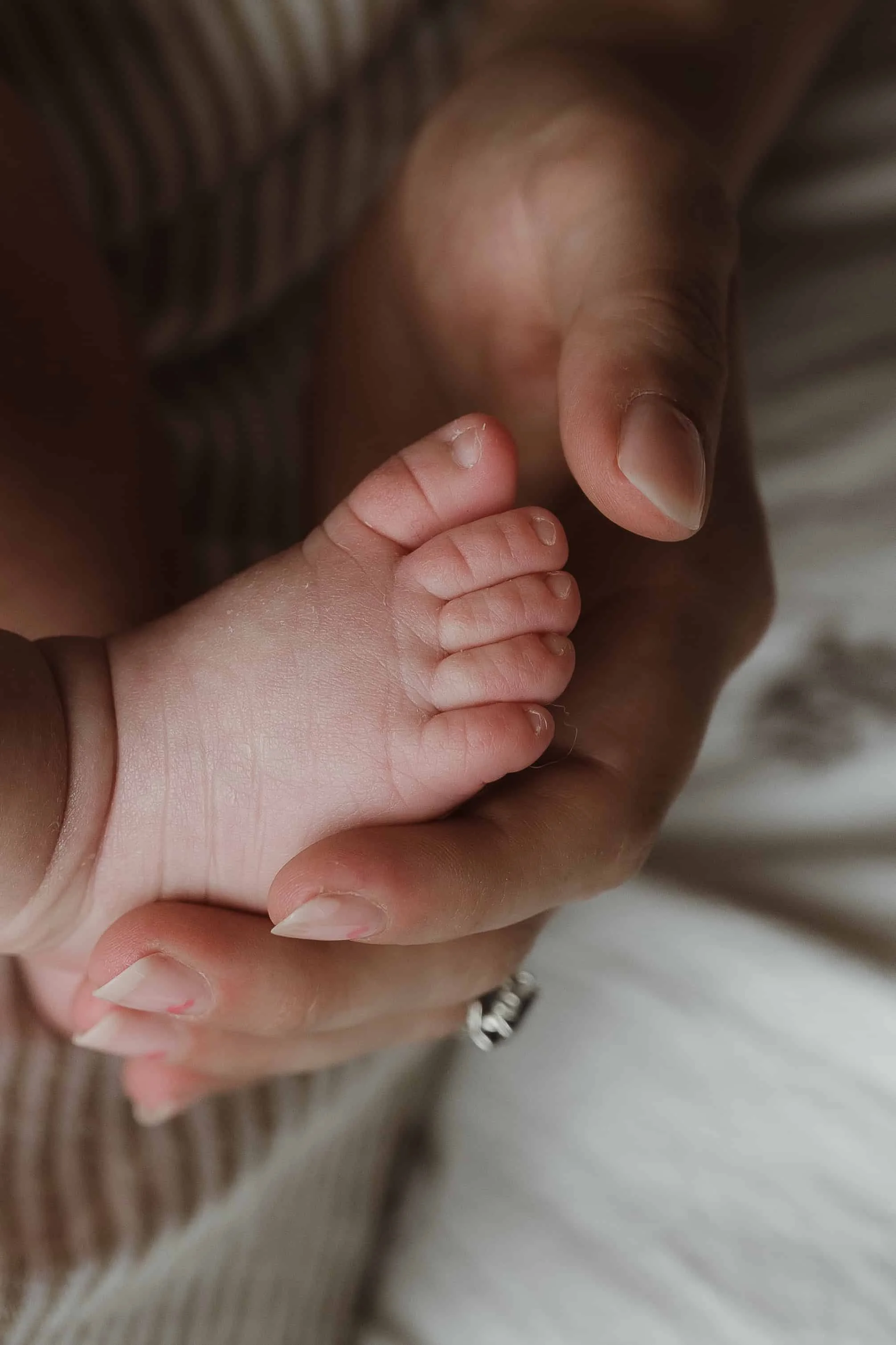 Close-up of an adult hand gently holding a tiny baby's hand.