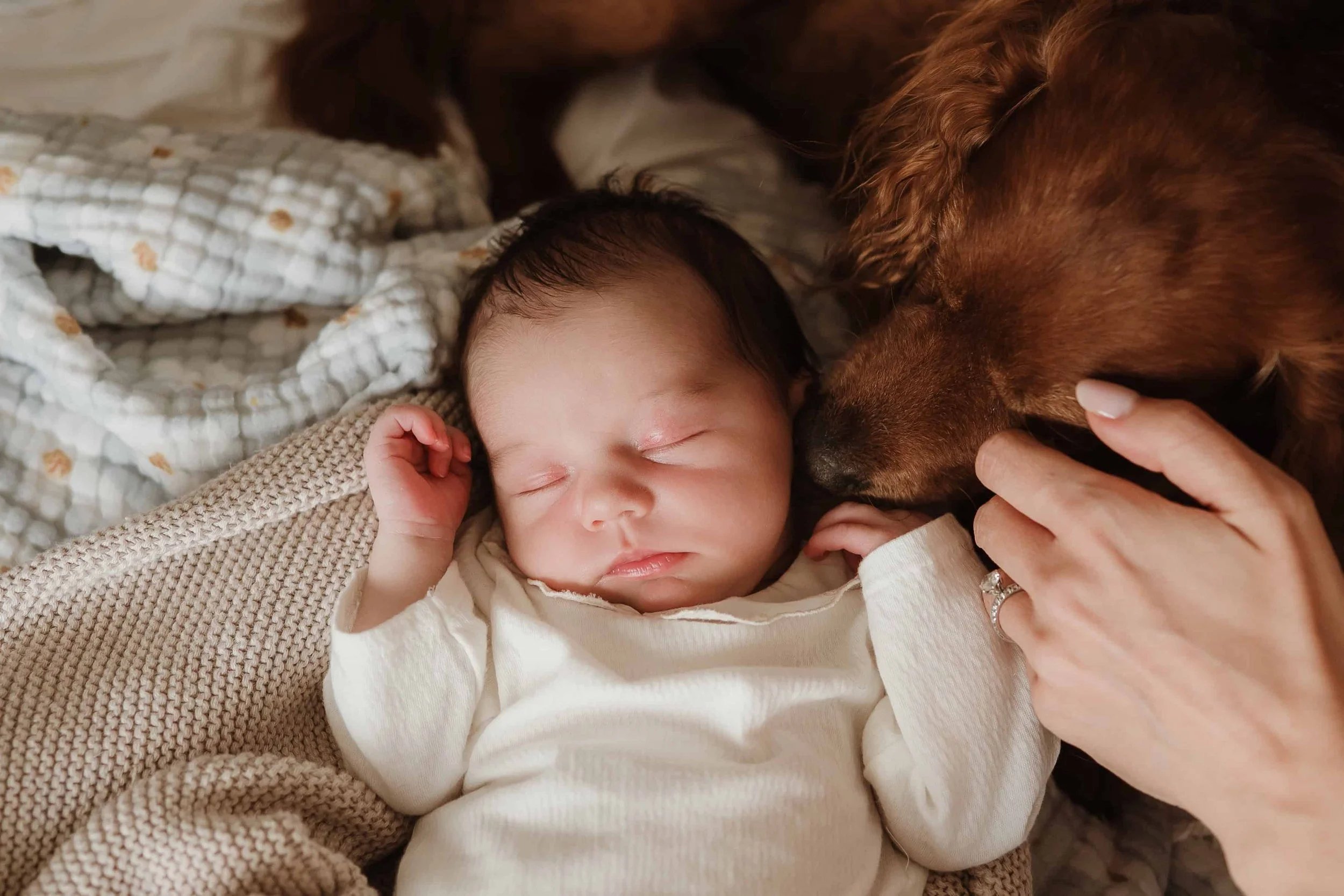 A sleeping baby lying on a blanket accompanied by a brown dog resting its head near the baby.