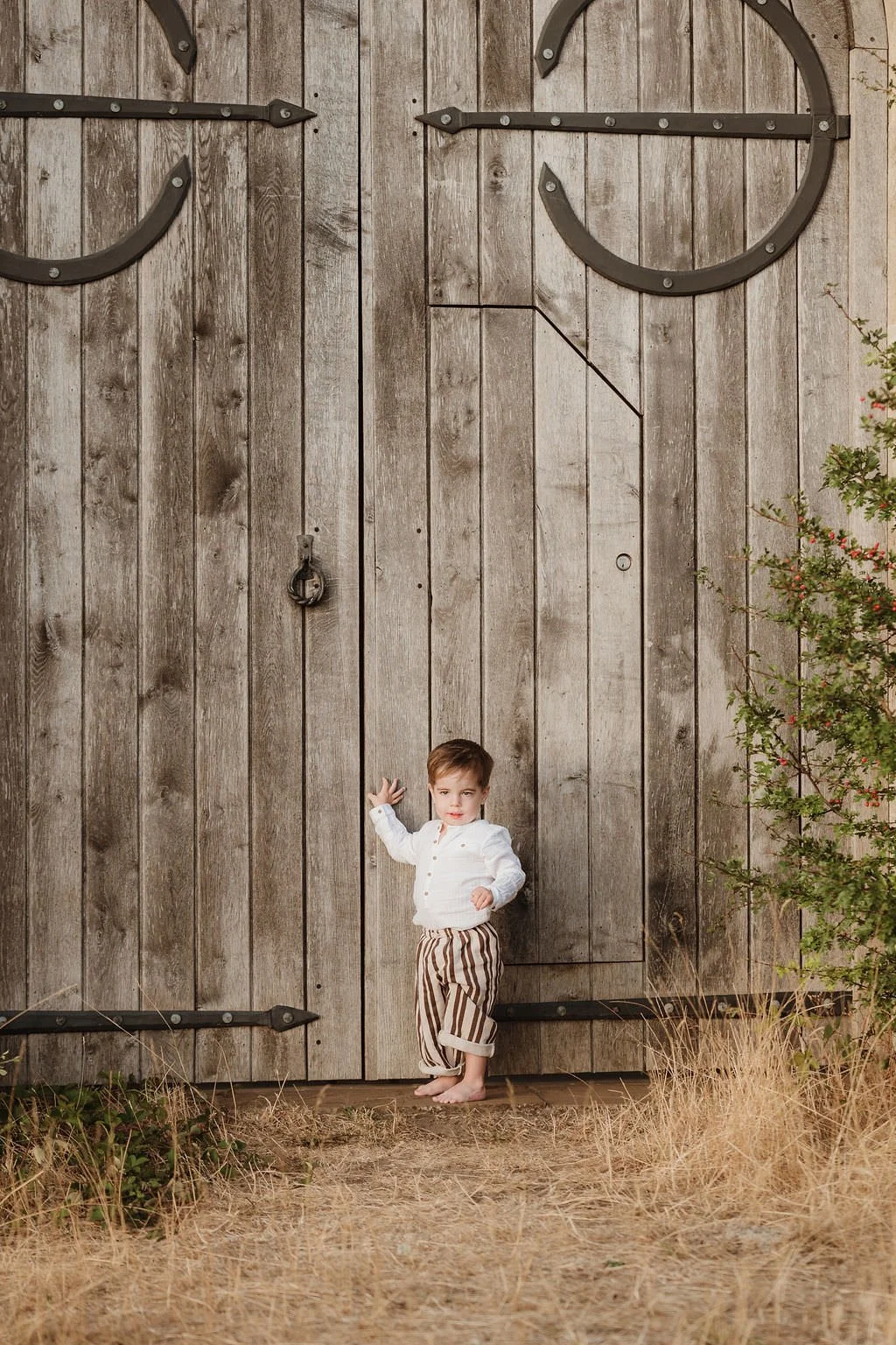 Cheltenhamfamilyphotographer-cox-18.jpg