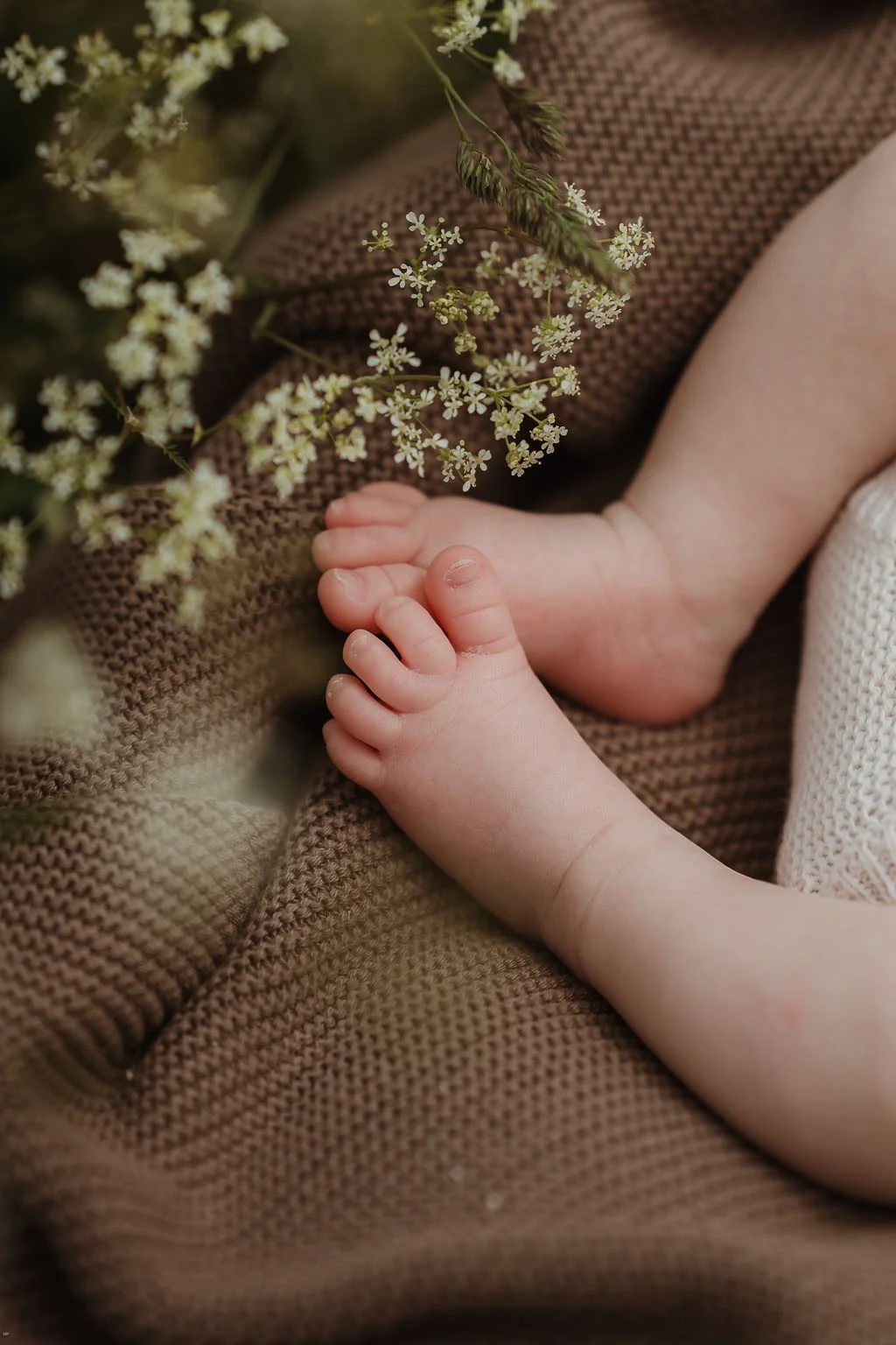 Cheltenham-newborn-photographer-reeves-70.jpg