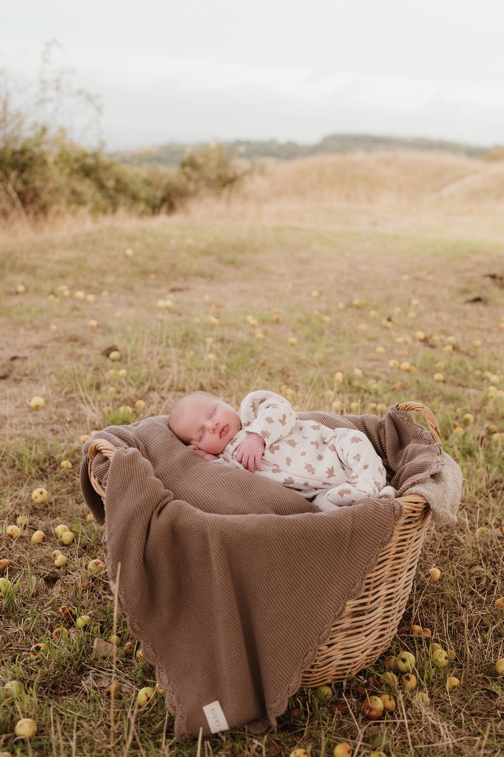 cheltenham-family-photographer-hitchens-78.jpg