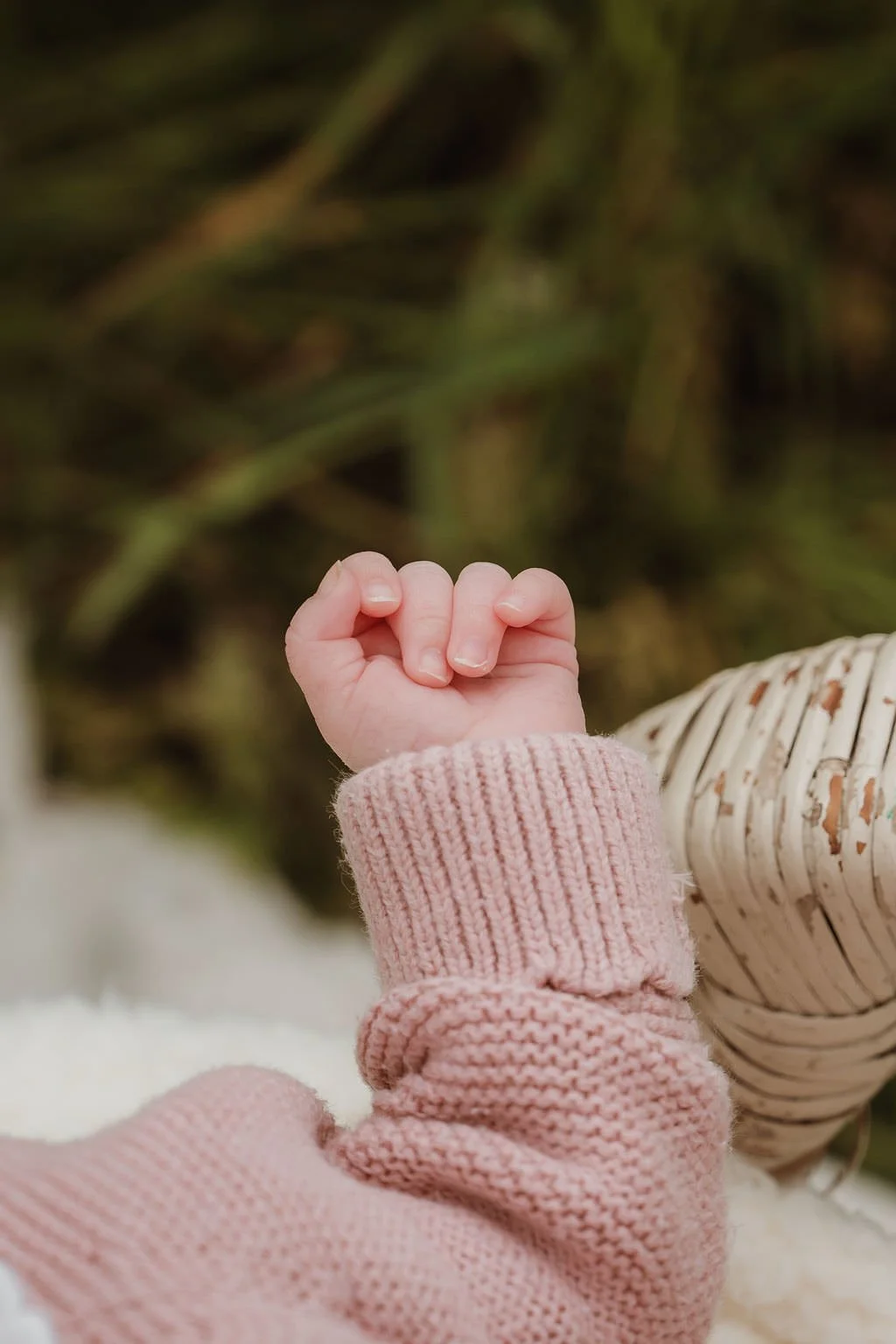 Cheltenham-newborn-photographer-reeves-32.jpg