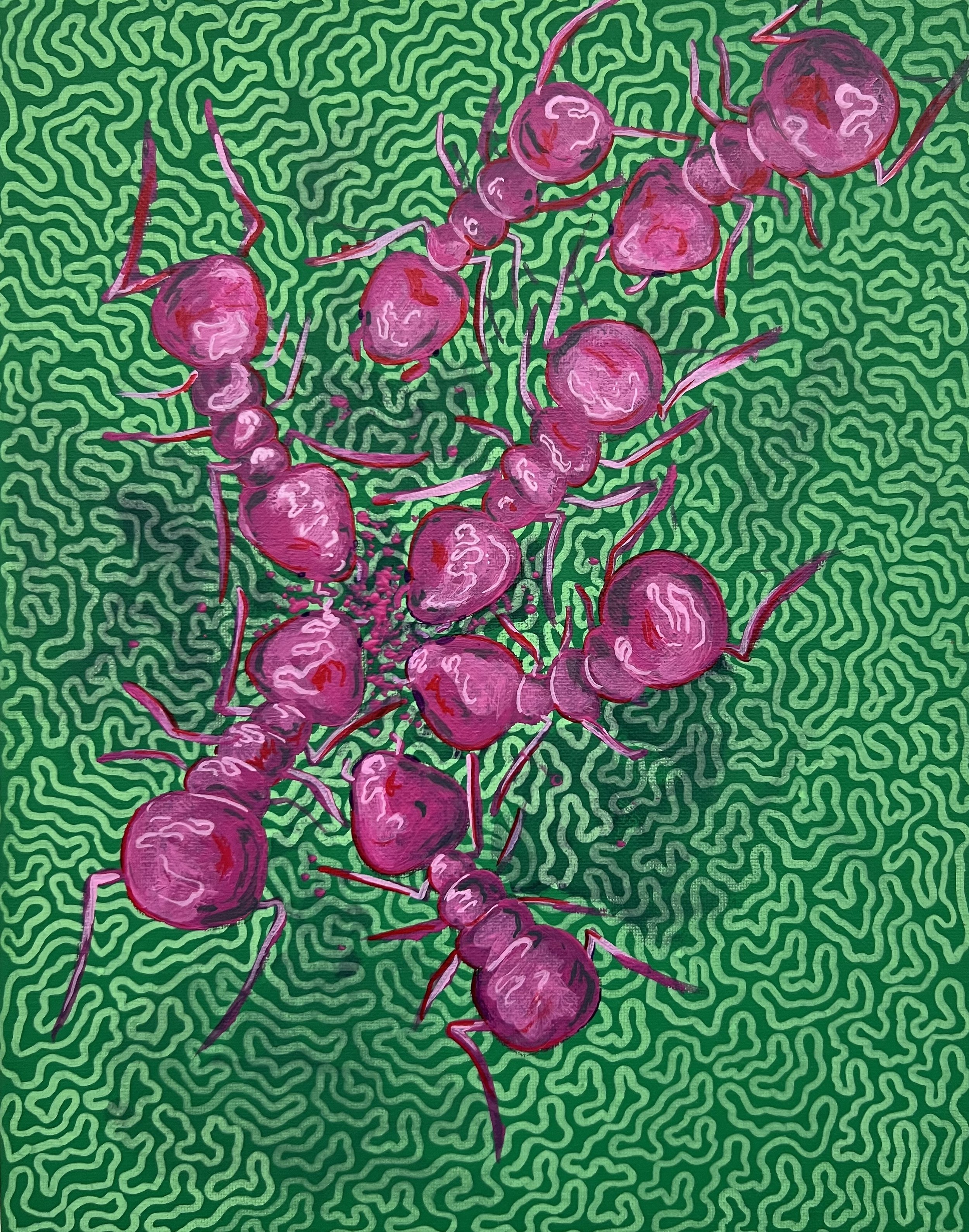 Watermelon Sugar Ants
11" x 14"
Acrylic on Canvas
