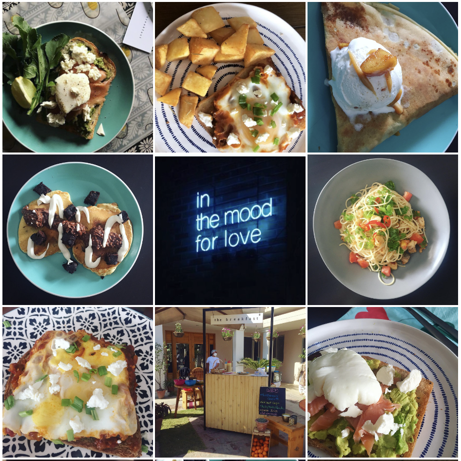 social media management