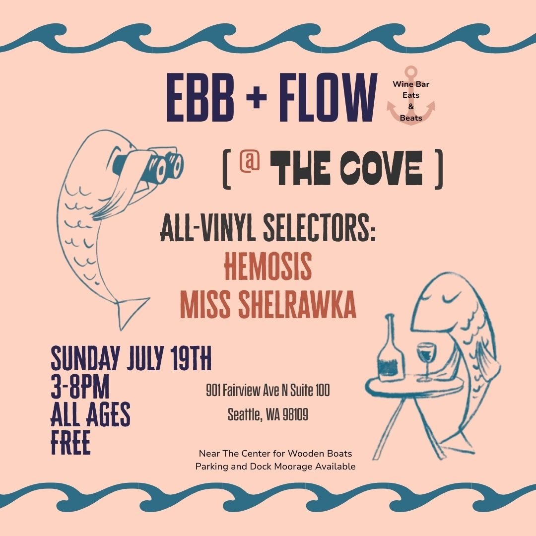 eb &amp; flow vinyl dj