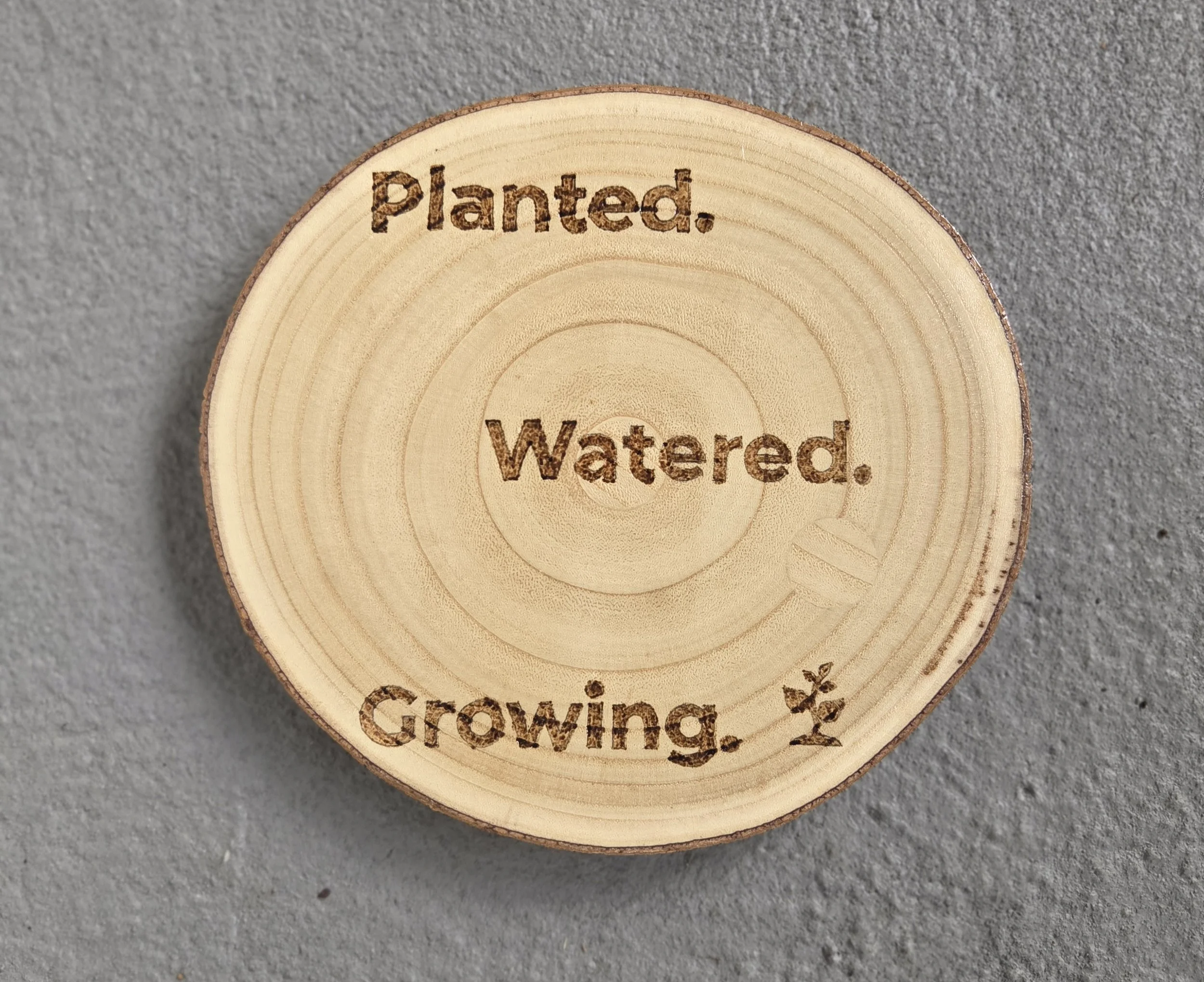 Planted.Watered.Growing.jpg