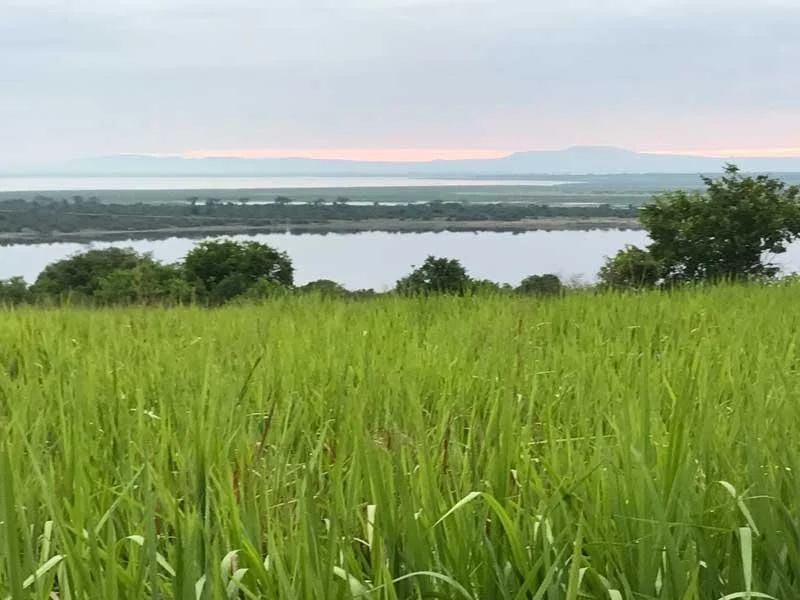 view of grassy field and lake in the background