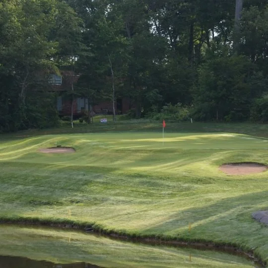 A golf course green with two sand bunkers, a flagstick, and a surrounding tree line.
