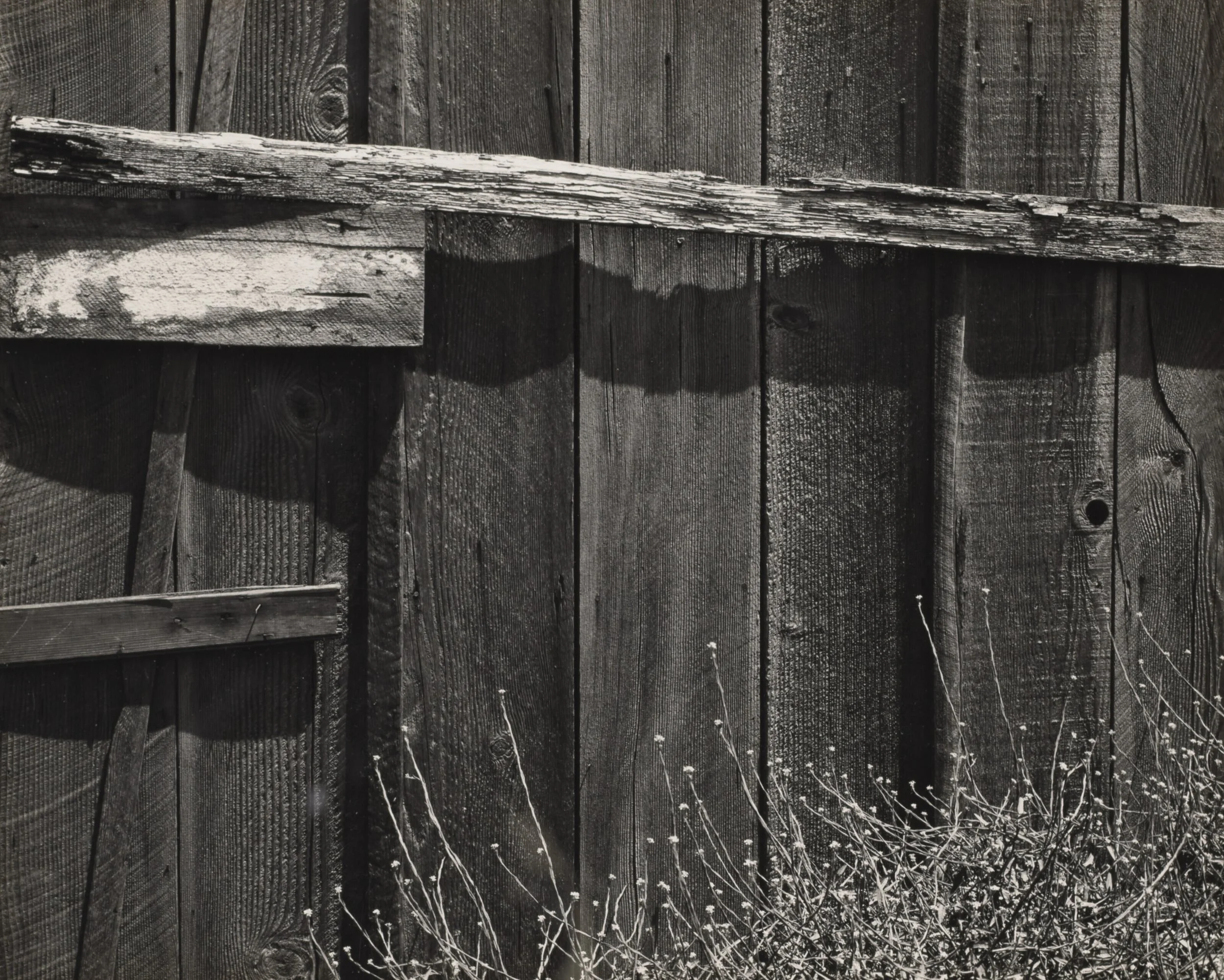 Fence 543