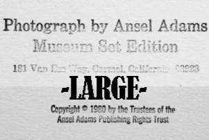 museum+set-large.jpg
