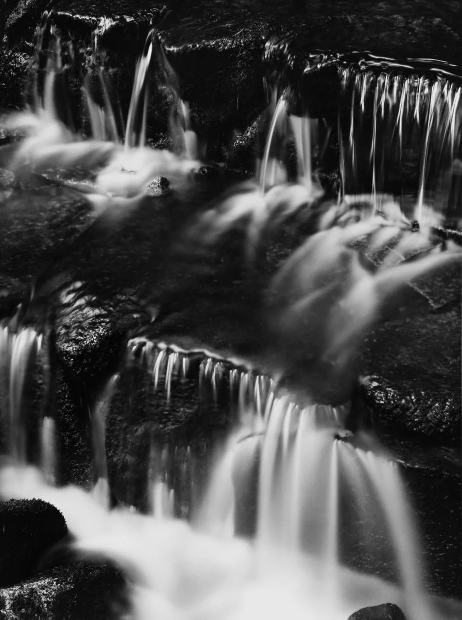 Fern Spring