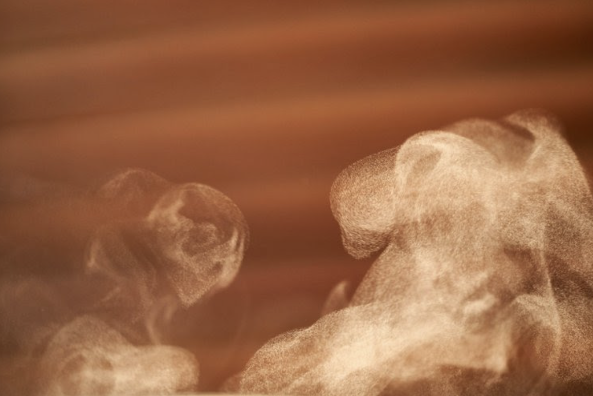 🐇 New Moon in Pisces: A Magic Trick