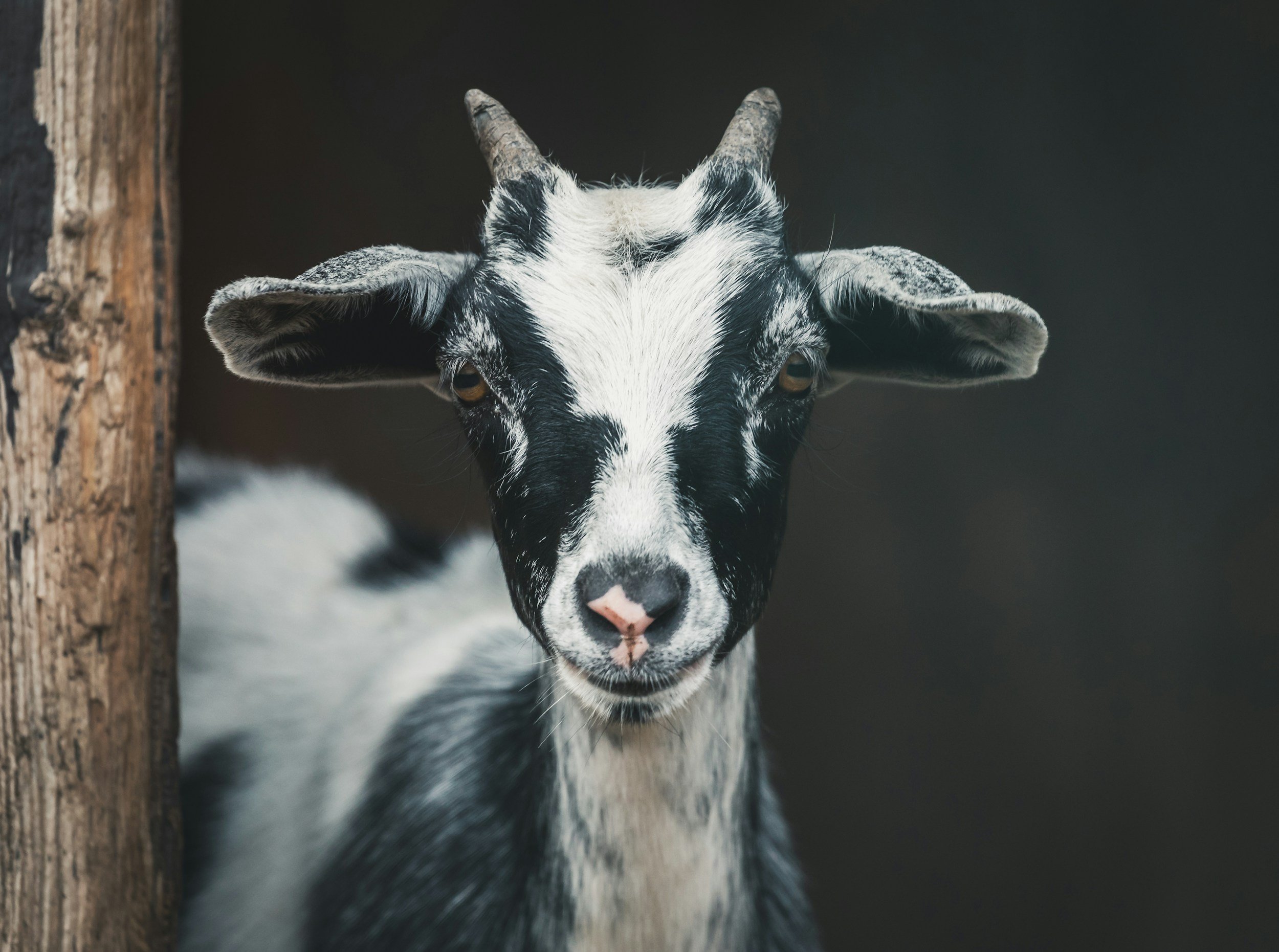 unsplash-image-o96Lf_wuM5o.jpg