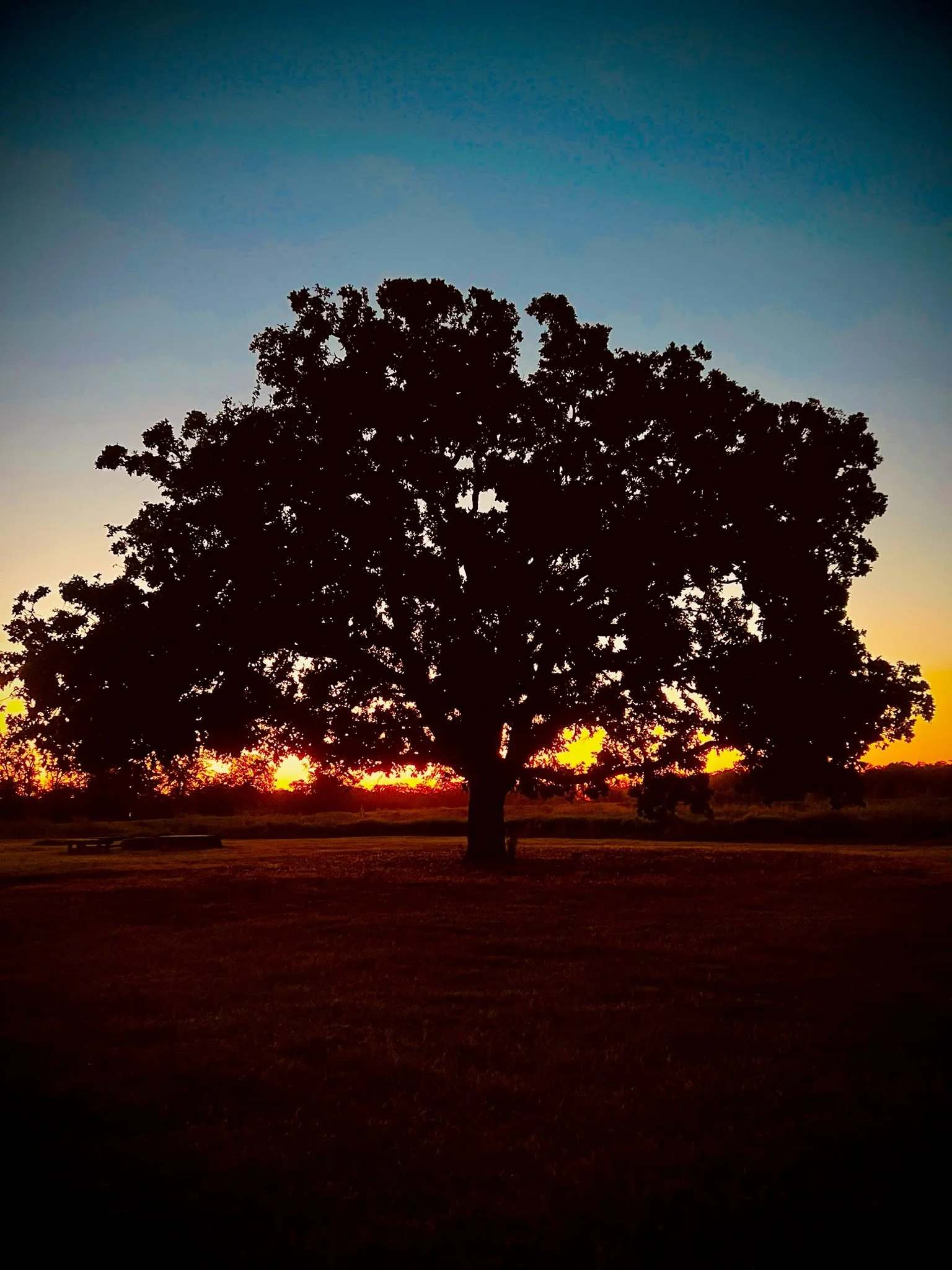 Christian Retreat Centers in Texas: How to Choose the Right Space