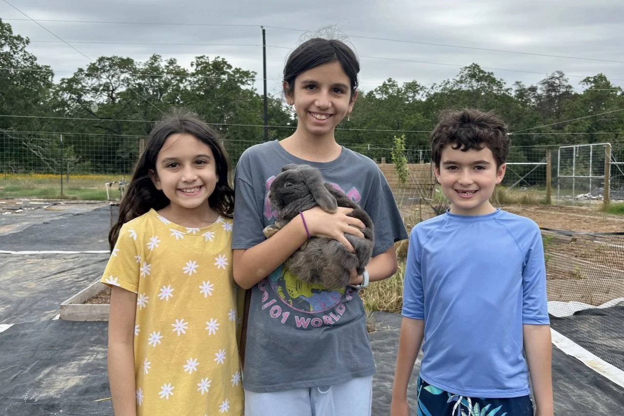 Bunny 2 Cropped.jpeg