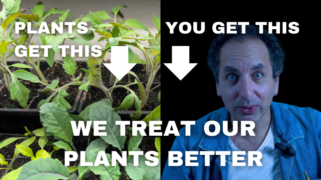 We Treat Our Tomatoes Better Than Ourselves