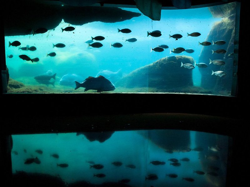 New-York-Aquarium-2.jpg