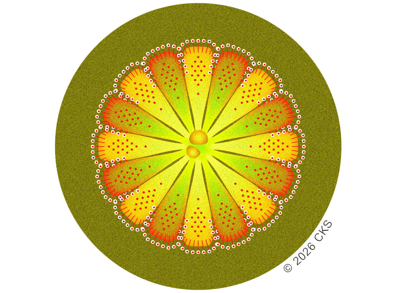 Circular scientific visualization of a flower-like detector array with radial yellow-green lobes, red dots, and two central circles