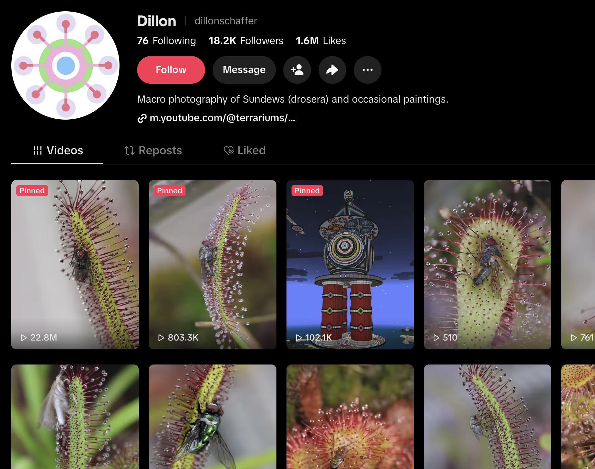 Screenshot of TikTok profile Dillon showcasing macro photographs of sundews trapping insects, plus a colorful digital painting.